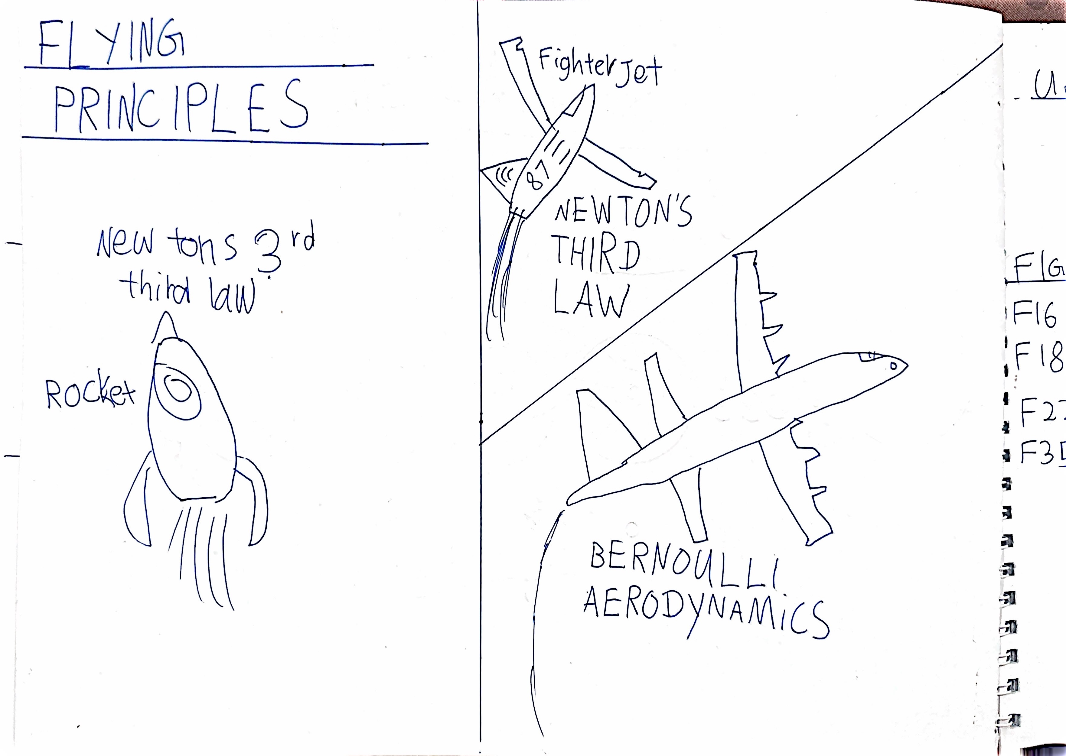 Flying Principles Drawing by Dhruvan